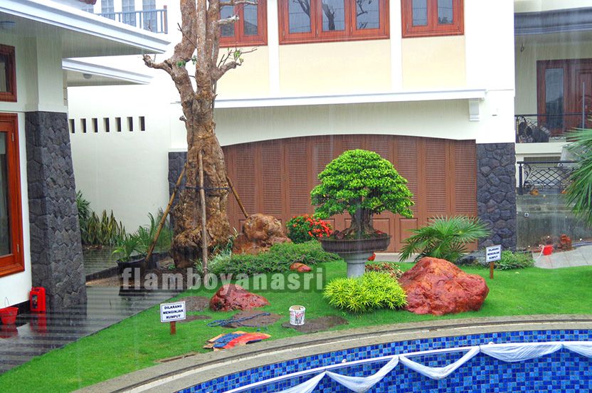✓1 tukang taman palembang kota palembang sumatera selatan Terbaik 